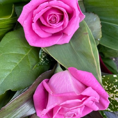 rose-tied-sheaf-funeral-flowers-tribute-funeral-delivered-strood-rochester-medway