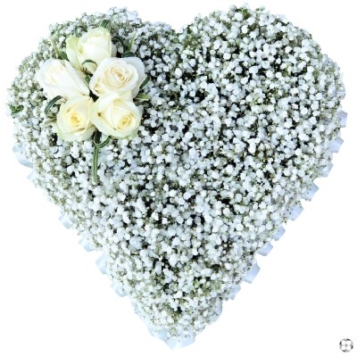 Gypsophila Heart