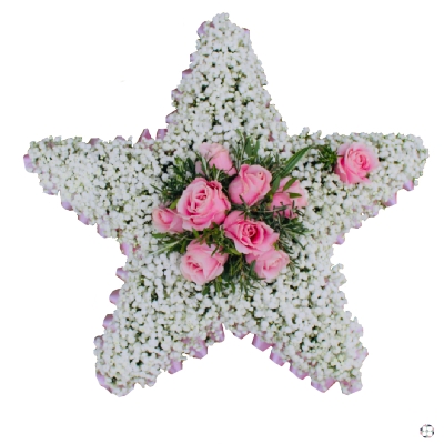 pink-rose-gypsophila-star-funeral-flowers-tribute-wreath-strood-rochester-medway-kent