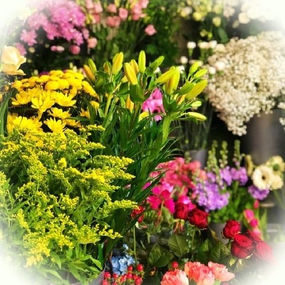 Florist Choice Basket Arrangement