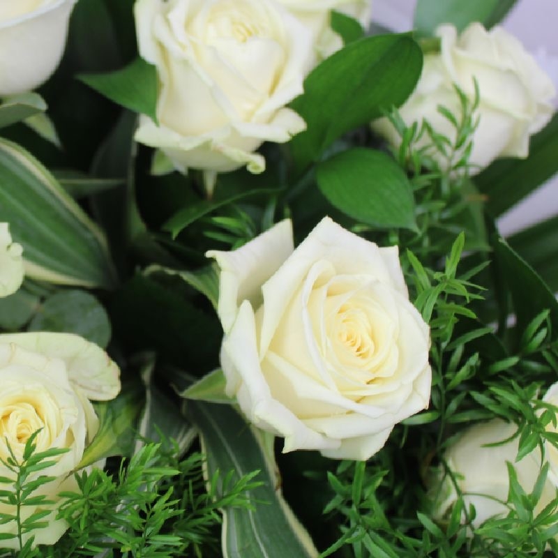 12-dozen-white-roses-handtie-bouquet-flowers-delivery-strood-rochester-medway-kent
