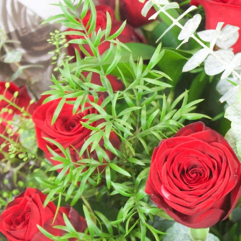 12-dozen-red-roses-romantic-handtie-bouquet-flowers-delivery-strood-rochester-medway-kent