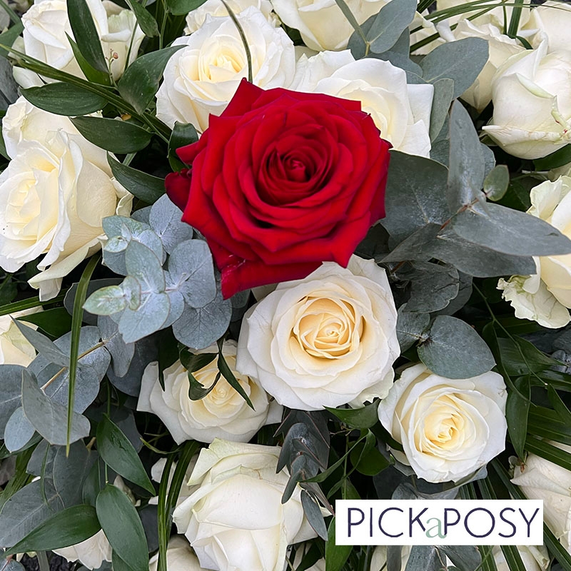 white-roses-single-red-rose-casket-coffin-spray-funeral-flowers-tribute-delivered-strood-rochester-medway-kent