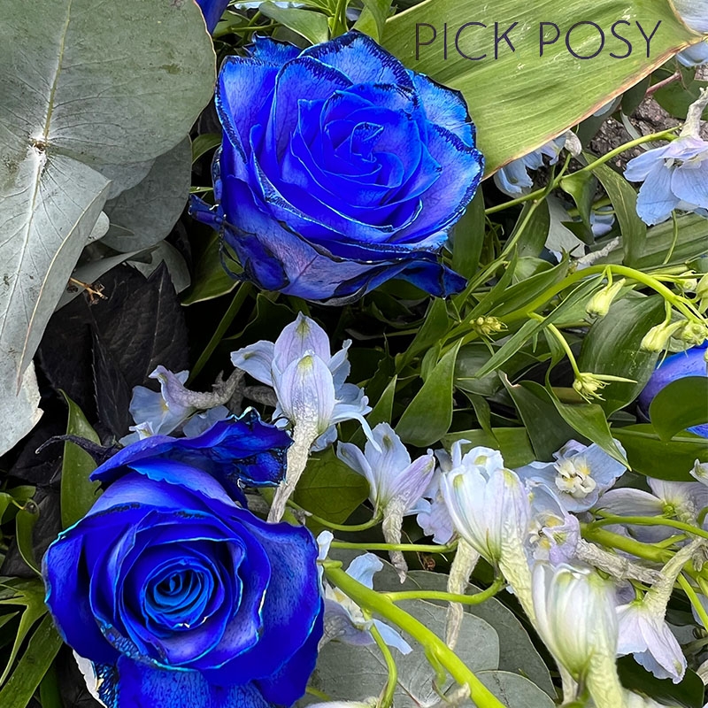 Blue-roses-delphiniums-casket-coffin-spray-delivered-strood-rochester-medway-kent