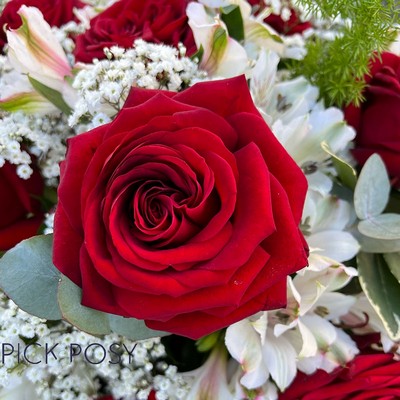 alstroemerias-red-roses-coffin-casket-coffin-spray-funeral-flowers-delivered-strood-rochester-medway-kent