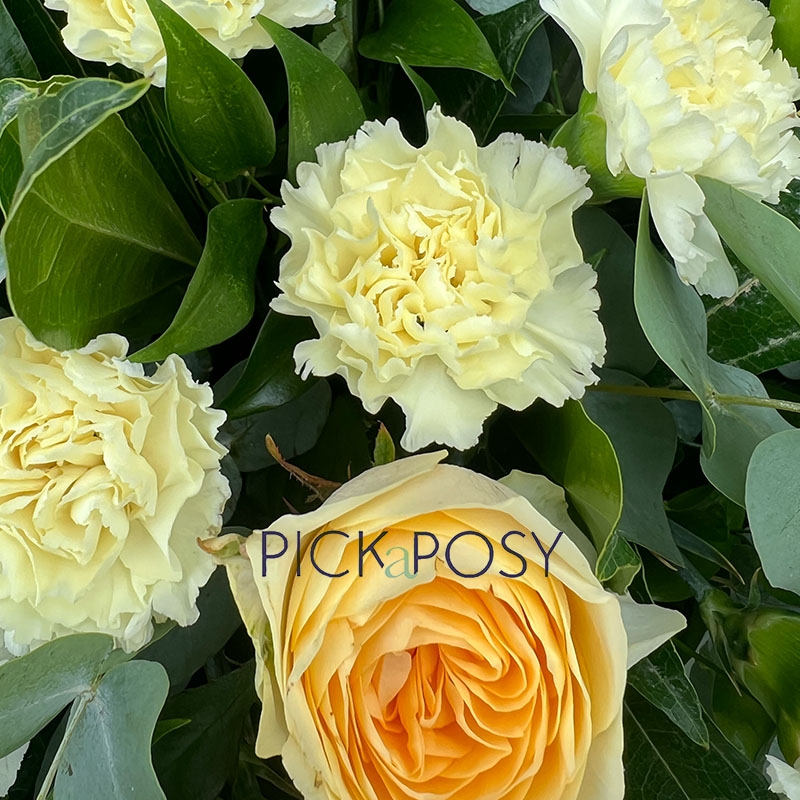 cream-roses-carnation-casket-coffin-spray-funeral-tribute-spray-delivered-strood-rochester-kent-medway-kent