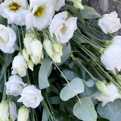 lisianthus-lizzy-eustoma-tied-sheaf-funeral-flowers-tribute-delivered-strood-rochester-medway