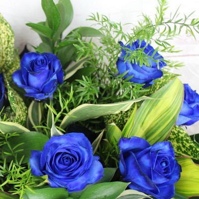 midnight-wonder-handtie-bouquet-blue-roses-delivery-flowers-strood-rochester-medway-kent-pick-a-posy