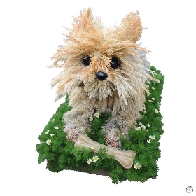 Dog Funeral Tribute Yorkshire Terrier