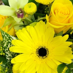 limoncello-basket-yellow-flowers-delivered-strood-rochester-medway