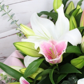 white-pink-lilies-handtie-bouquet-flowers-delivered-strood-rochester-medway