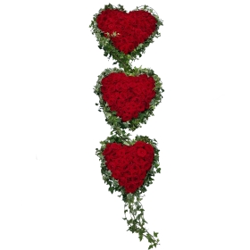 rose-trio-heart-casket-coffin-spray-funeral-flowers-tribute-delivery-strood-rochester-medway-kent