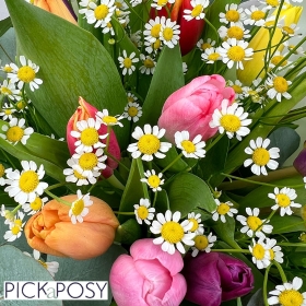 Tulips-spring-bouquet-flowers-delivered-strood-Rochester-Medway-kent