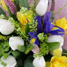 Spring-time-daffodils-tulips-handtie-bouquet-delivered-strood-Rochester-Medway-kent