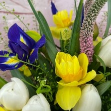 Spring-time-daffodils-tulips-handtie-bouquet-delivered-strood-Rochester-Medway-kent