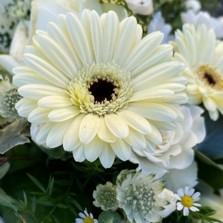 white-cream-single-ended-funeral-flowers-tribute-delivered-strood-rochester-medway