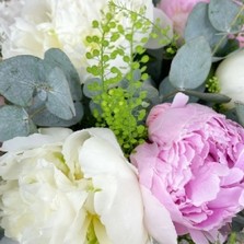 peonies-peonies-summer-scented-flowers-delivered-strood-rochester-medway 