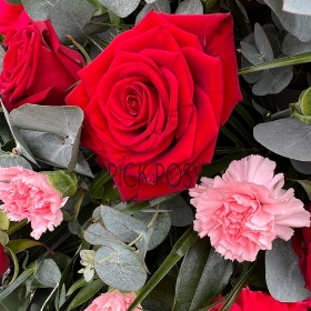Roses-carnation-casket-coffin-spray-funeral-tribute-spray-delivered-strood-rochester-kent-medway-kent