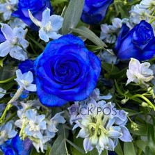 Blue-roses-delphiniums-casket-coffin-spray-delivered-strood-rochester-medway-kent