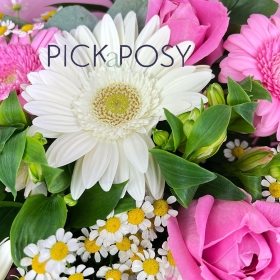 bonnie-lass-pink-roses-gerberas-gift-bouquet-flowers-delivered-strood-rochester-medway-kent
