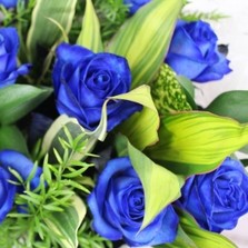 midnight-wonder-handtie-bouquet-blue-roses-delivery-flowers-strood-rochester-medway-kent-pick-a-posy