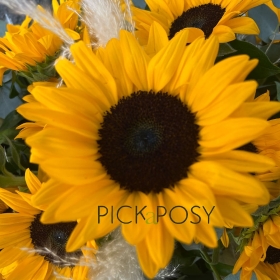 sunflowers-helianthus-pampas-coffin-casket-spray-funeral-flowers-delivered-strood-rochester-kent